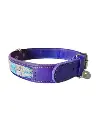 Dog Collar - Handmade Artisan Cabos XL