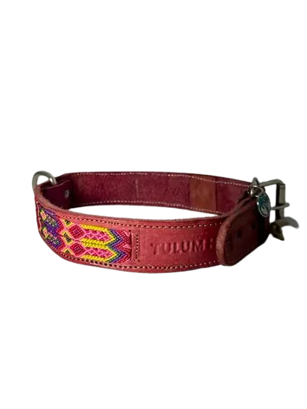 Dog Collar - Handmade Artisan Cabos XL