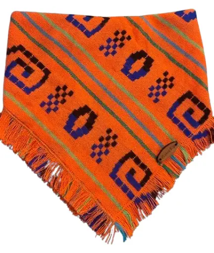 Dog Bandana - Orange