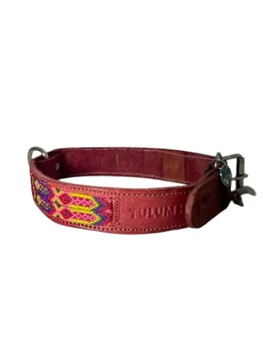 Dog Collar - Handmade Artisan Cabos XL